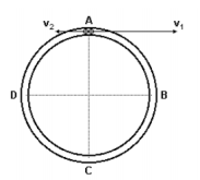 movimento circular Screen14