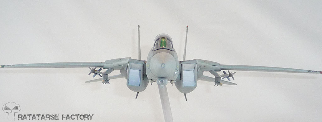 [Custom] 1/64 F-14 Shin Kudo (Macross Zéro) / COMMISSION Ratat106