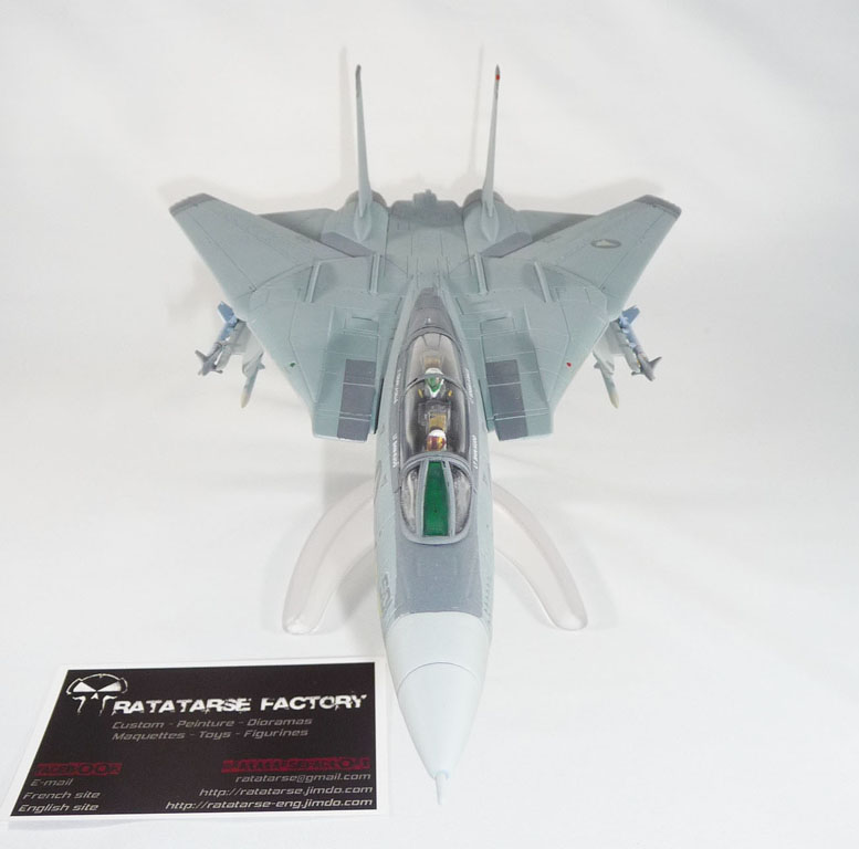 [Custom] 1/64 F-14 Shin Kudo (Macross Zéro) / COMMISSION Ratat111