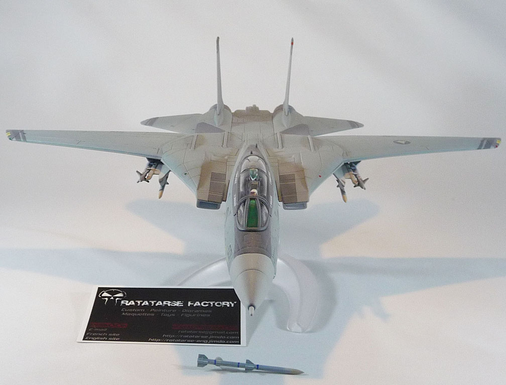 [Custom] 1/64 F-14 Shin Kudo (Macross Zéro) / COMMISSION Ratat116