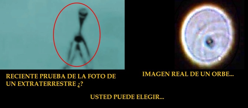 ¿ÚLTIMA PRUEBA DE UN EXTRATERRESTRE? Alieni10