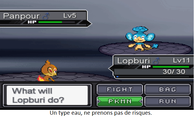 [Reborn - Hackrom] Pokemon Reborn Screenlocke  9112