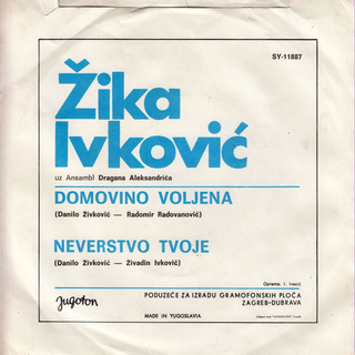 Zika Ivkovic - Diskografija R-259312