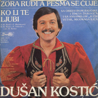 Dusan Kostic - Diskografija  R-595910