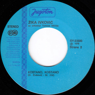 Zika Ivkovic - Diskografija R-612816