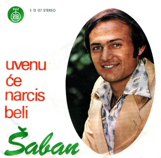 Saban Saulic - Diskografija R_107614