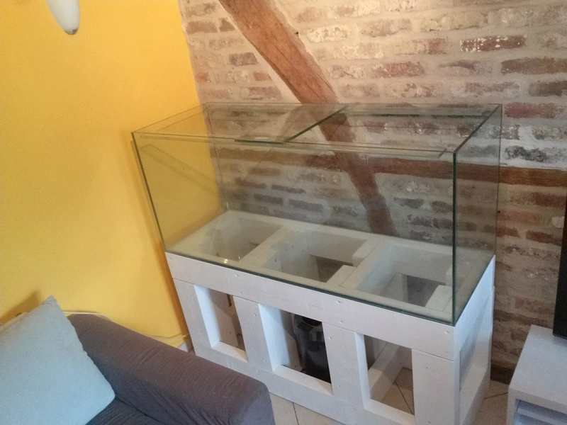Projet mur végétal et aquarium - Page 4 29681010