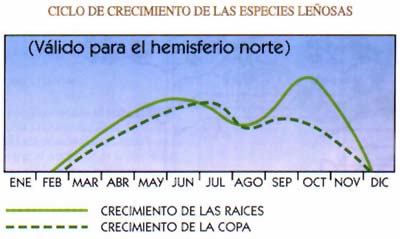 Lo que dicen las hojas 8dd51f10