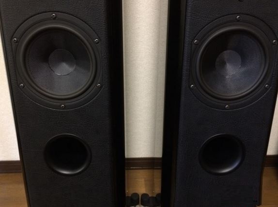 Sonus Faber Grand Piano Home Floorstanding Speaker Hand Made In Italy (Sold Out) 11286610