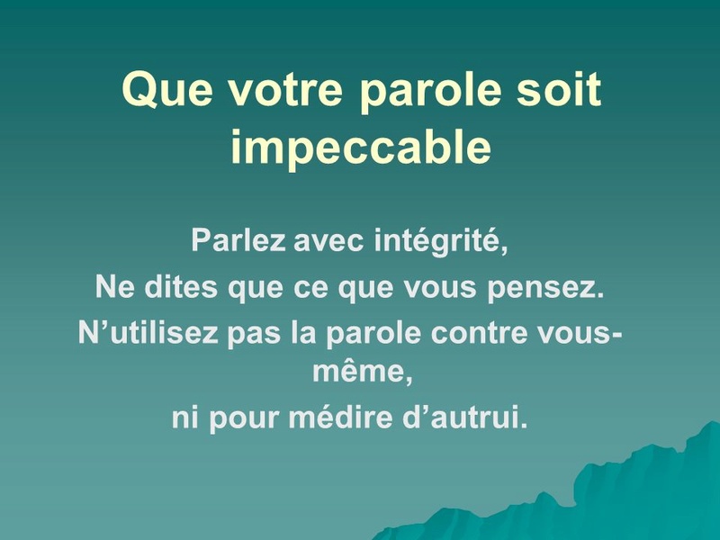code d'honneur de zebra sara - Page 6 Quevot10