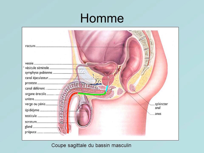 Spé med CC 2014 Hommec10