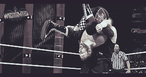 Wrestlemania 34 - (RAW & Smackdown) Packag10