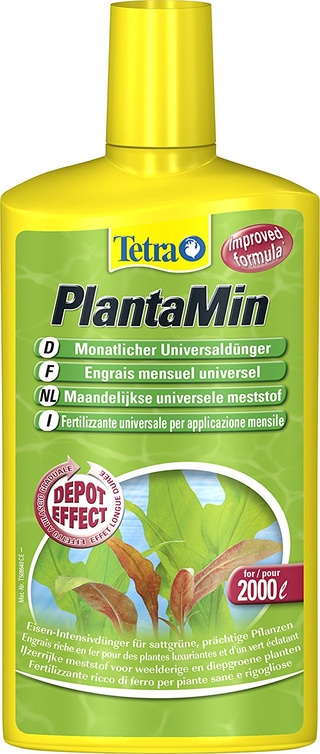 empoter des plantes , astuces? 81w14w11