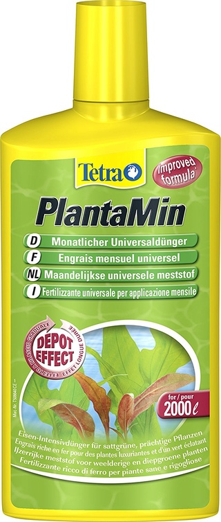 empoter des plantes , astuces? 81w14w11