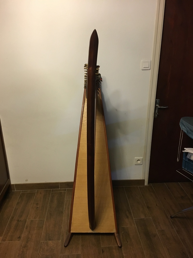a vendre harpe personnalisée Img_0718