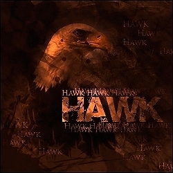 [My Goals] - Hawk 28974610