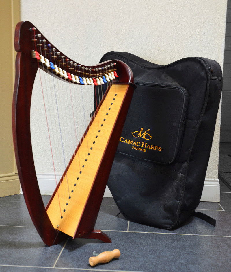 Harpe Bardic 22 cordes et accessoires - 850€ Dsc_0212