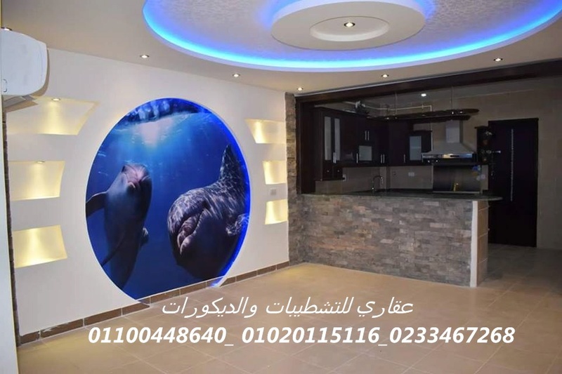    شركات تشطيبات وديكورات ( شركه عقاري للتنميه واداره المشروعات) 01020115116 13417413