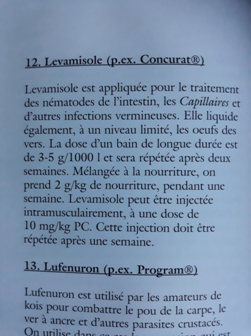 Problème koï malade Levami10