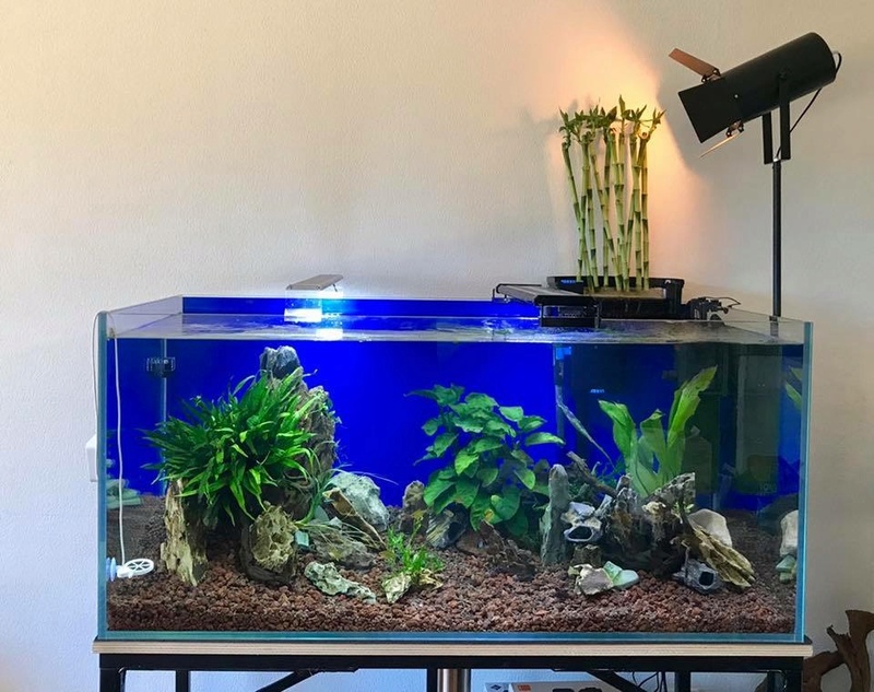 [VENDS] aquarium complet , verre extra blanc ,400L [13] 8e633010