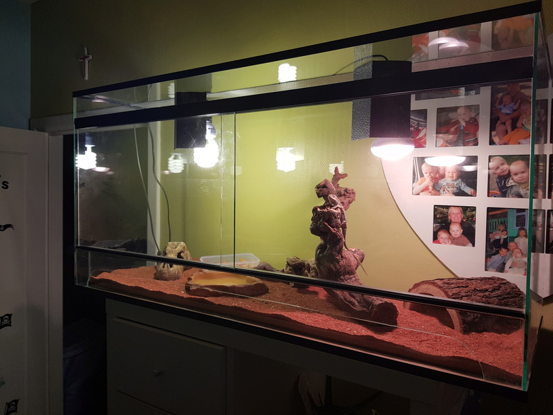 pogona conseil 20180211