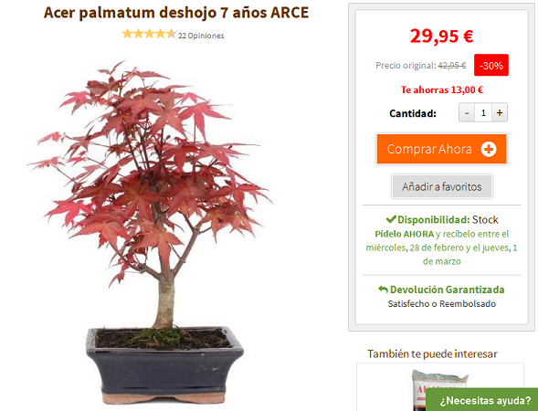 Oferta Acer palmatum deshojo en planeta huerto Sin_ty10