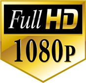 Os Renegados [2012] [BluRay] [1080p] [Dual Áudio] Logo-f10