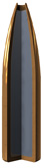 pas de rayures des Armes Blaser Power_10