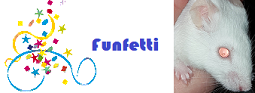 Potential Mouse Owner Funfet13