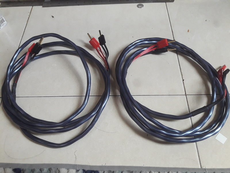 Wireworld Luna speaker cable(Sold) 20180434