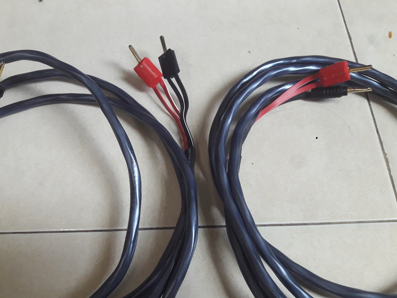 Wireworld Luna speaker cable(Sold) 20180435