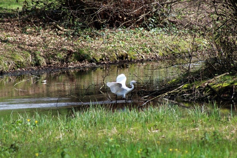 [Ouvert] Animaux divers. - Page 22 Img_7119