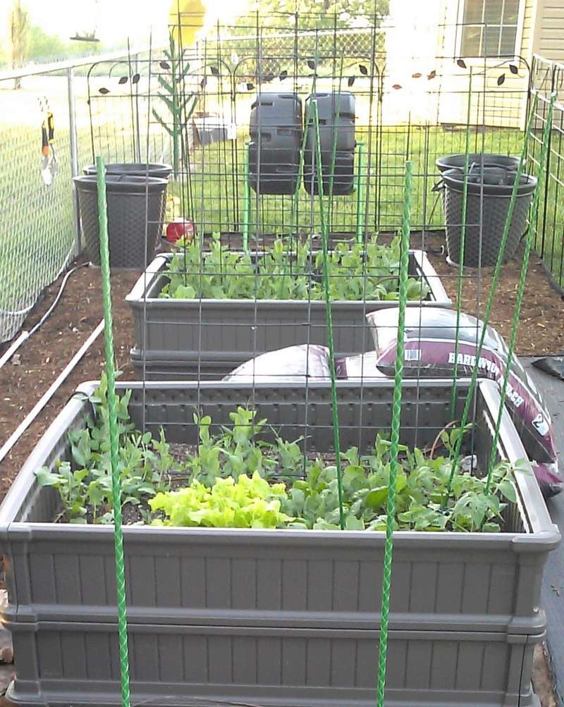 N&C Midwest - MAY! Spring has sprung! Garden13