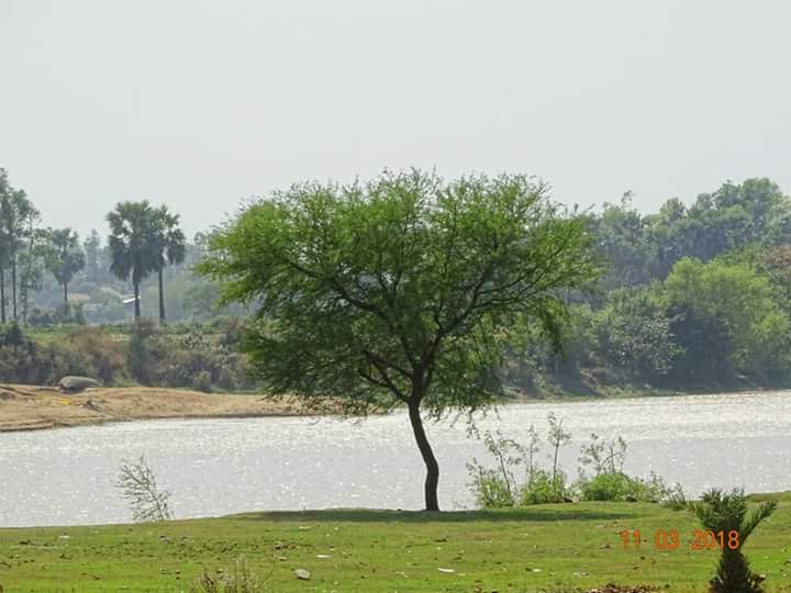 মালুটি তারাপীঠ ব্রাহ্মণী নদী maluti Tarapith Brambhani river  Fb_img80