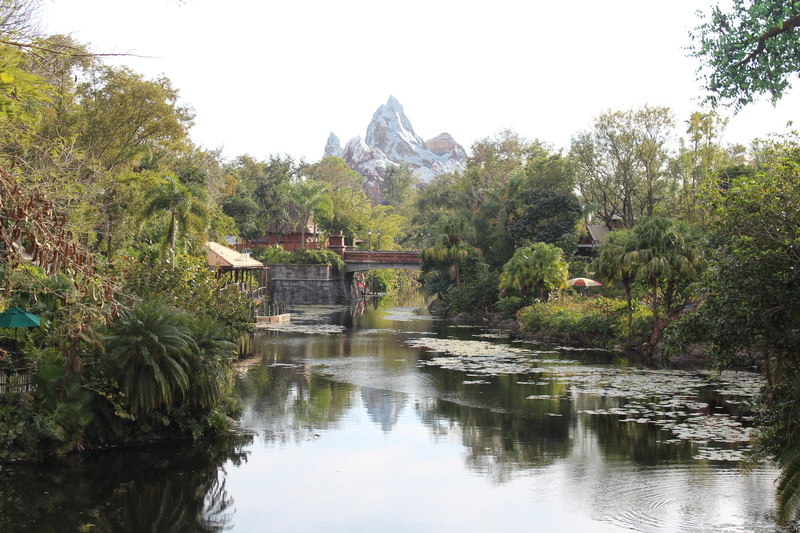 Mariage thème Disney + Voyage de Noces WDW + USO + IOA + Keys + Everglades + Miami - Page 4 Img_1886