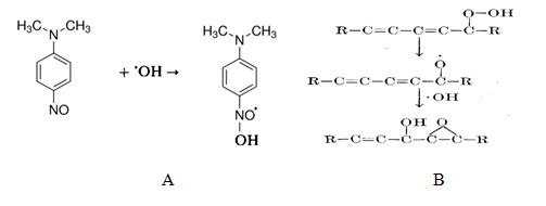 N,N-DIMETHYL-P-NITROSOANILINE AND POTASSIUM LINOLEATE HYDROPEROXIDE AS SPIN TRAPS IN PROCESS OF HYDROXYL RADICALS FORMATION DURING CHLORIDE-FREE ELECTROLYSIS OF CONTAMINATED WATER 9910