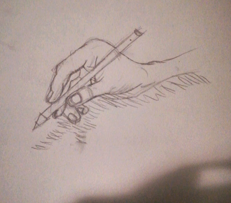 Un peu d'anatomie Img_2014