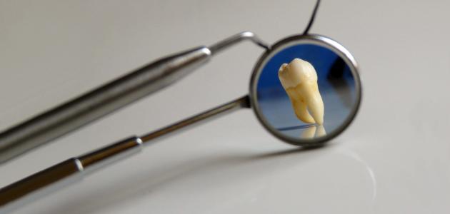 معلومات عن تخصص طب الاسنان Ee__oo10