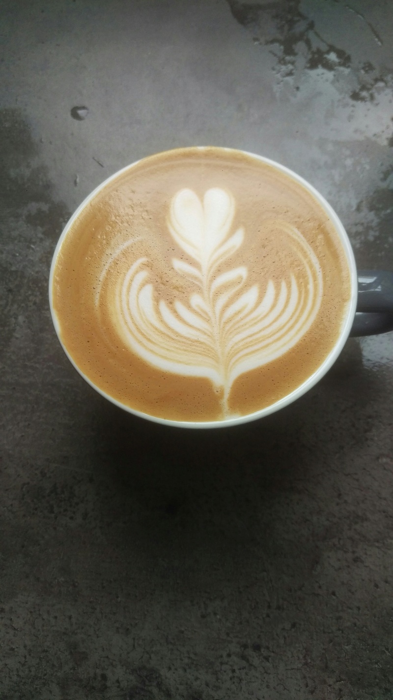 Techniques du Latte Art - Page 12 Imag0216