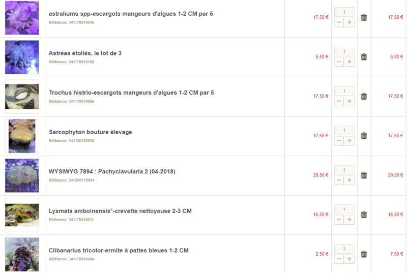 Recifal 180L Jaubert  - Page 2 Detri10