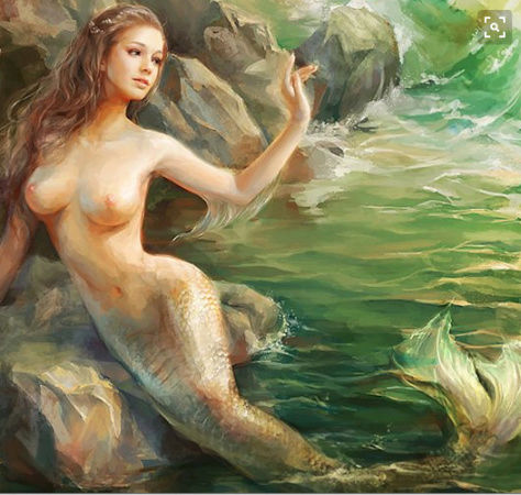 A LA SIRENA BLANCA Sirena10