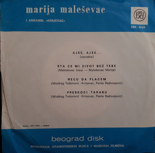 Maja Malesevac - Diskografija R-119813
