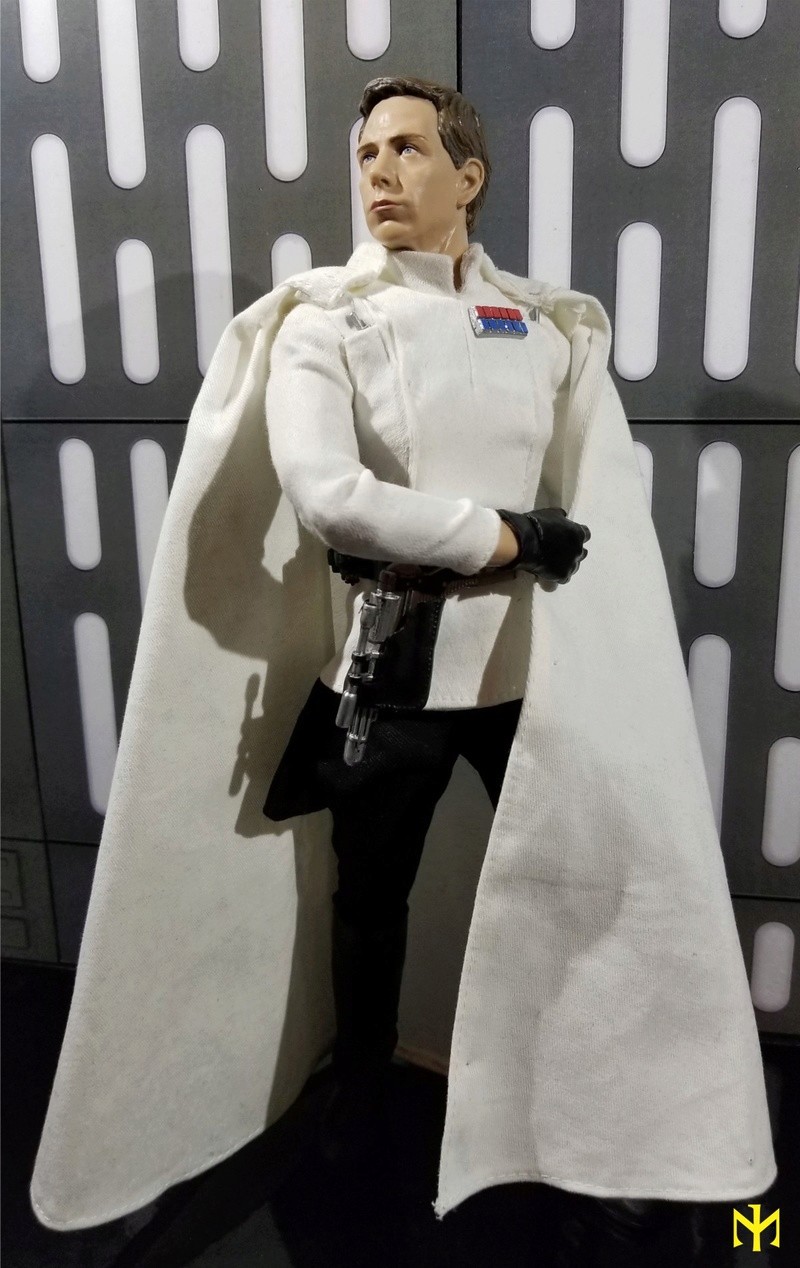 Disney - Product Review Disney Star Wars Elite Series Director Orson Krennic Premium Action Figure Krenni13