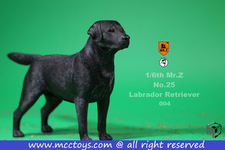 dog - NEW PRODUCT: Mr.ZX MCCToys New: 1/6 Simulation Animal Series 25th - Labrador Retriever - Complete 4 models 1323