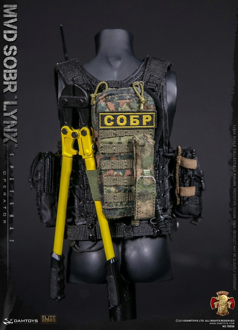 ModernMilitary - NEW PRODUCT: DAMTOYS : 1/6 RUSSIAN SPETSNAZ MVD - SOBR LYNX Action Figure (78058#) 15130210