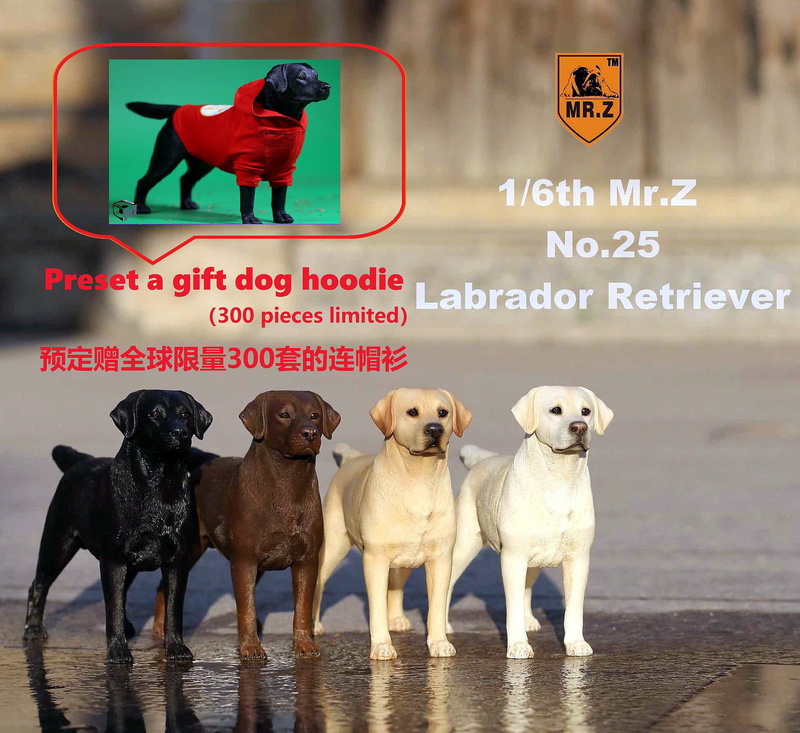 dog - NEW PRODUCT: Mr.ZX MCCToys New: 1/6 Simulation Animal Series 25th - Labrador Retriever - Complete 4 models 16295910