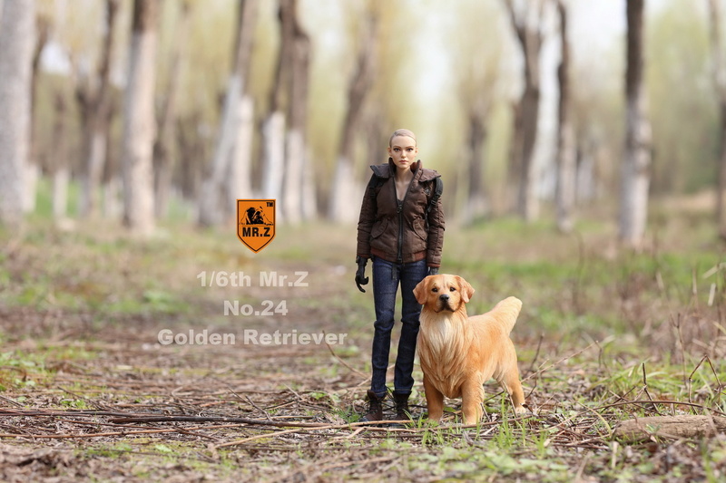Topics tagged under dog on OneSixthFigures 2810
