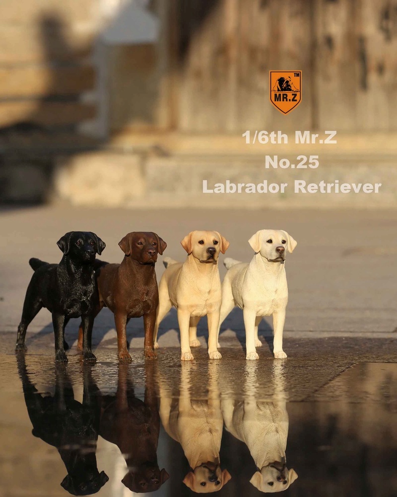 dog - NEW PRODUCT: Mr.ZX MCCToys New: 1/6 Simulation Animal Series 25th - Labrador Retriever - Complete 4 models 335