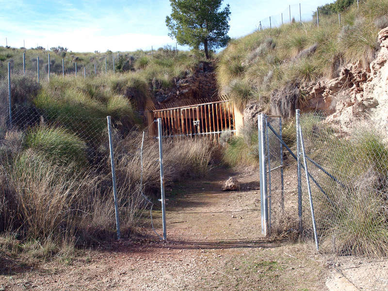 Grupo Mineralógico de Alicante 0111