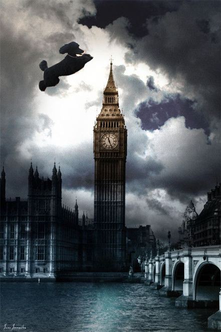 Poodle Jumping Over Big Ben Tower Clock Poodle13